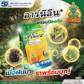 อาร์นิลีน